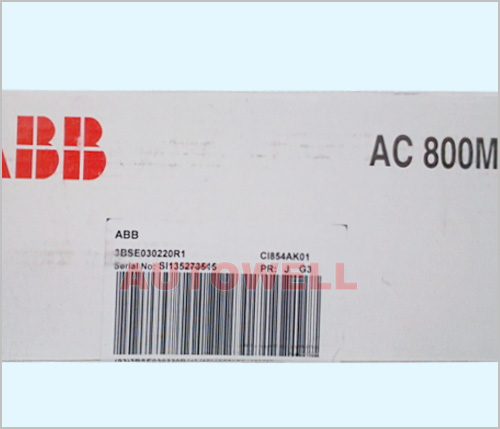 CI854AK01 Profibus DP-V1ͨ��ģ��